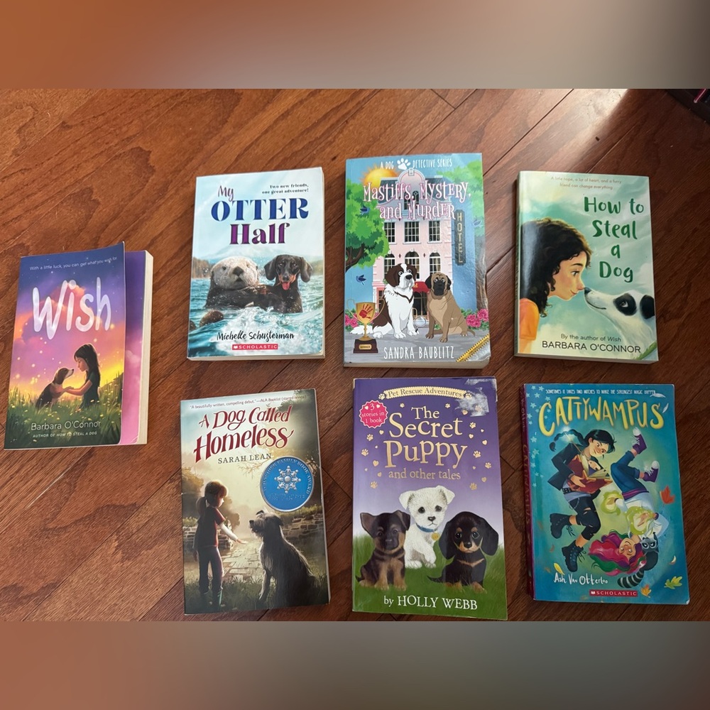 7 chapter books in excellent condition